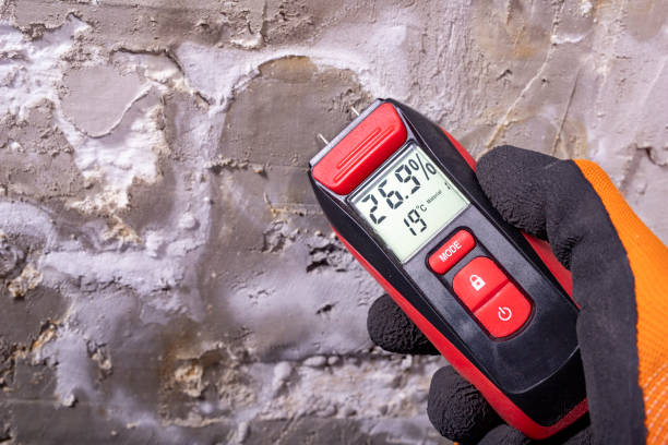 Mold Testing and Removal in Medford, MA